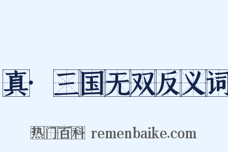 真·三国无双反义词是什么意思的图片